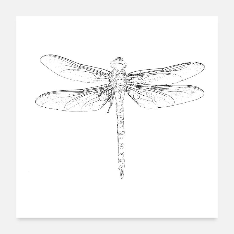 Libellule microscope insectes biologie tatouage Poster 60 x 60 cm