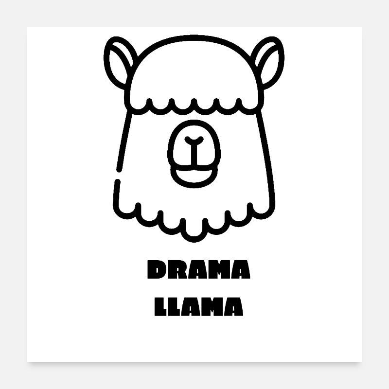 Drama Llama Poster 60x60 cm
