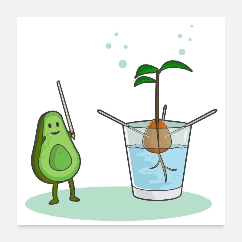 Avocado-Geburt Poster 60x60 cm