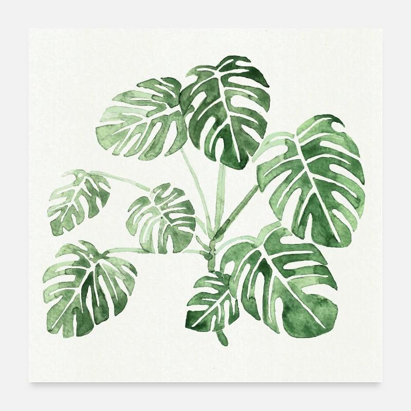 monstera Poster 60 x 60 cm