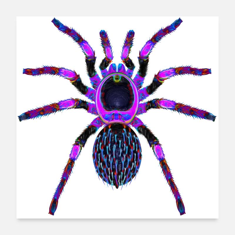 Purple Spider Poster 24" x 24" (60x60 cm)