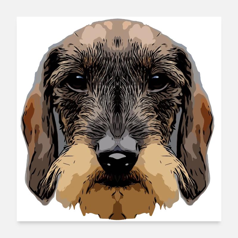 dackel3 2 Poster 60x60 cm