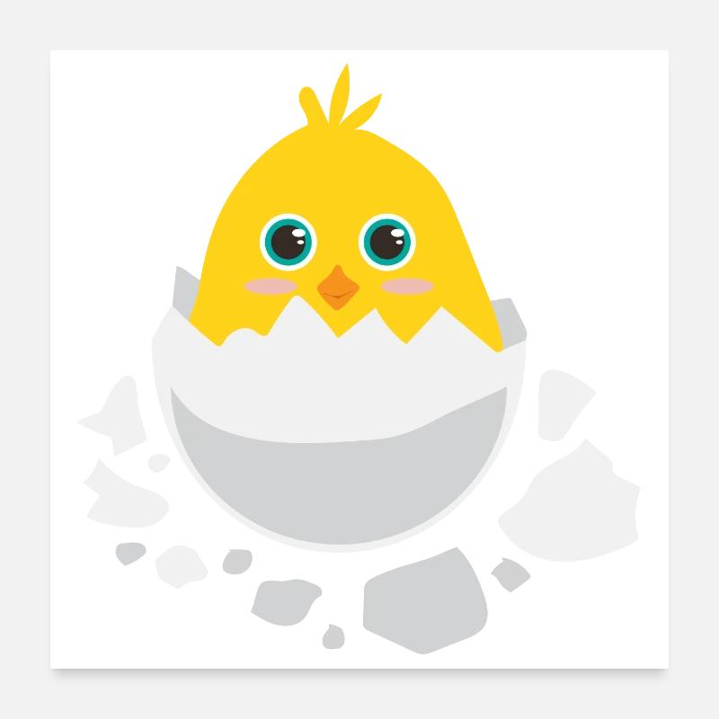 Les bébés poussins éclosent - Idée de cadeau - Poster 60 x 60 cm - blanc