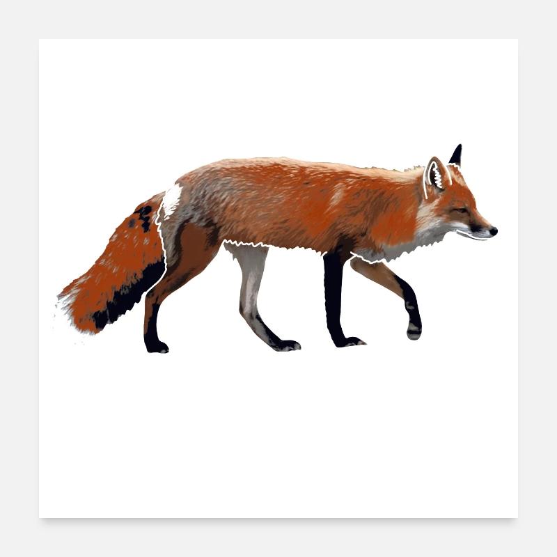 renard Poster 60 x 60 cm