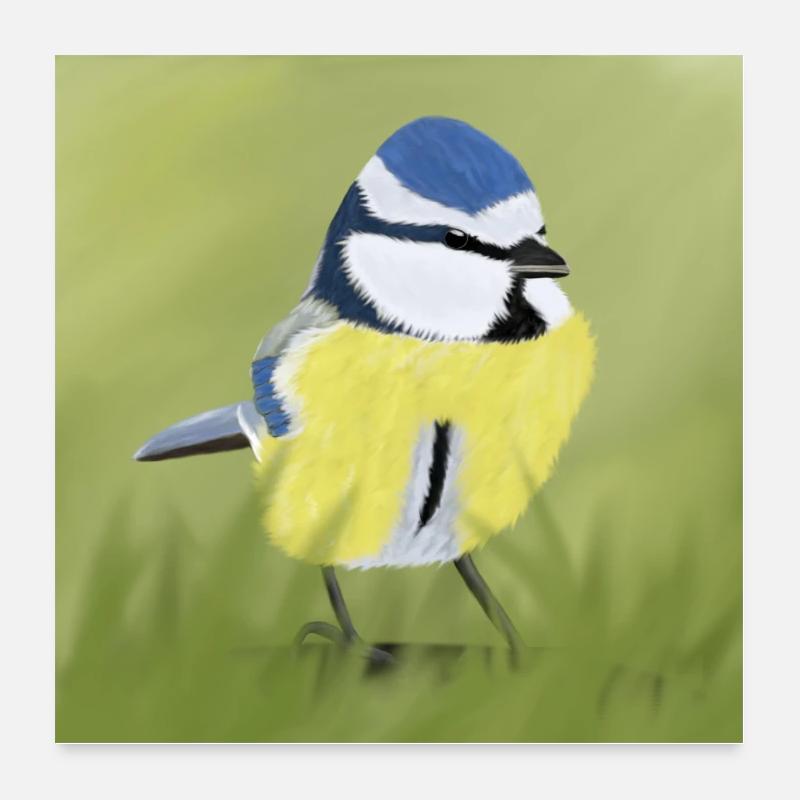 Blue tit poster Poster 24" x 24" (60x60 cm)