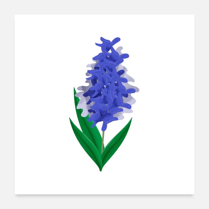Blumen Frühling Hyazinth Blau - Geschenkidee Poster 60x60 cm