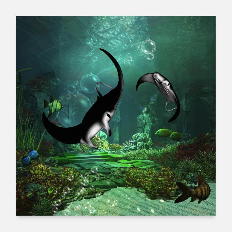 Superbe couverture de rayons sur les basses eaux Poster 60 x 60 cm