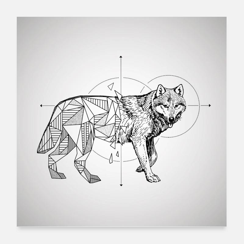 Cool Wolf - Poster 60 x 60 cm - blanc
