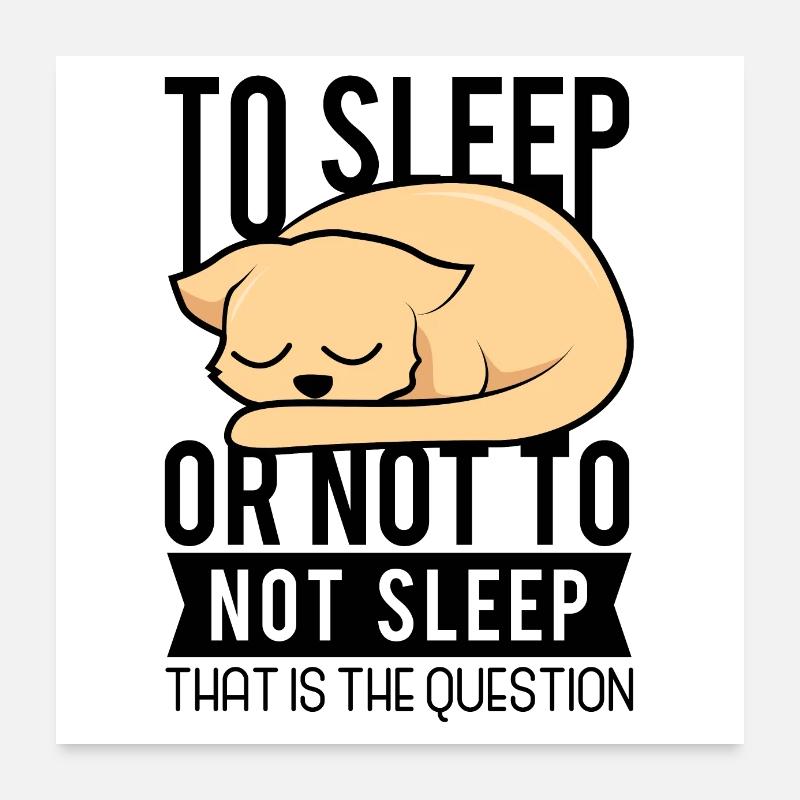 Schlafen oder nicht schlafen Bett Hund Entspannung Poster 60x60 cm