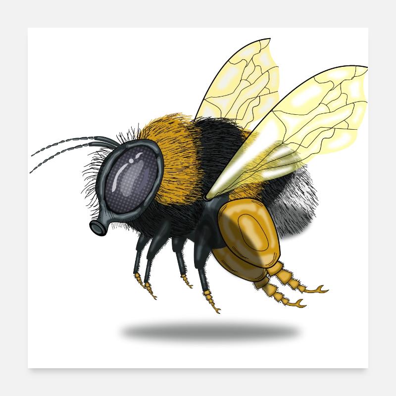 Bumble bee beekeeper conservation gift - Poster 24" x 24" (60x60 cm) - white