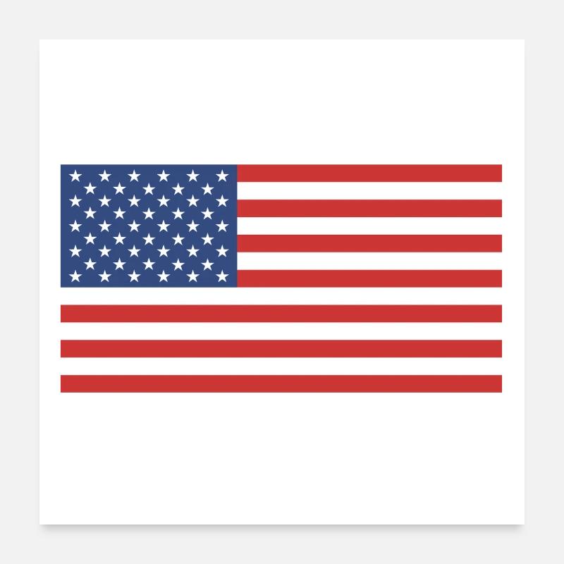 American flag Poster 24" x 24" (60x60 cm)
