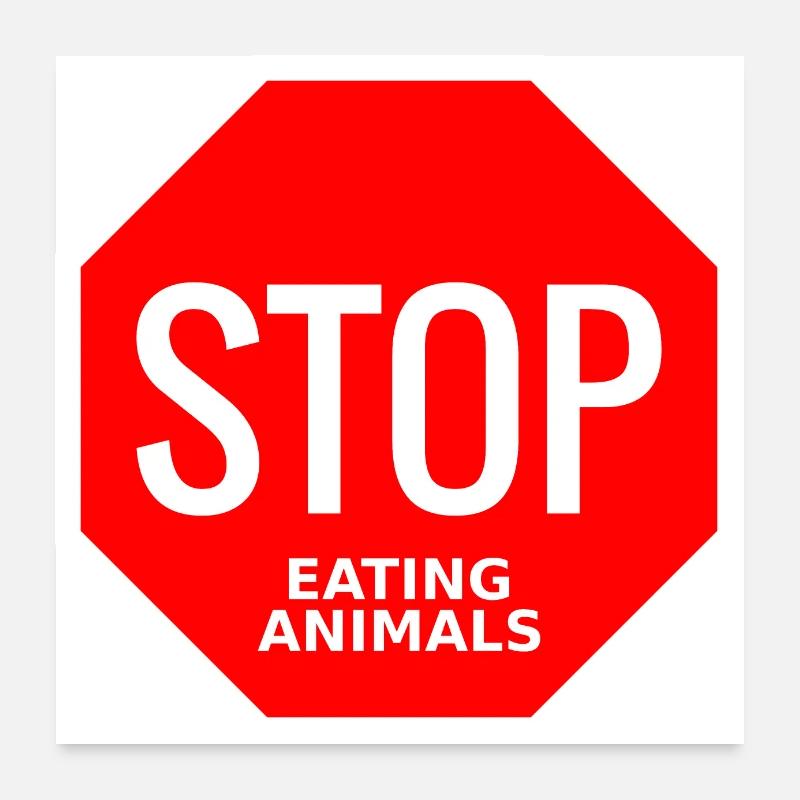 Stop Eating Animals - Poster 60x60 cm - Weiß