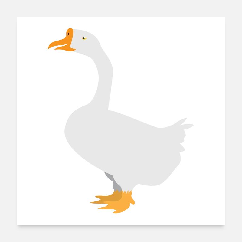 White goose standing Poster 24" x 24" (60x60 cm)
