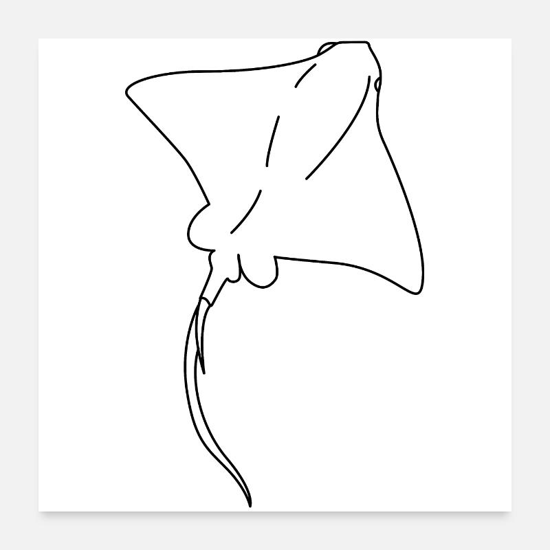 Rochen Poster 60x60 cm