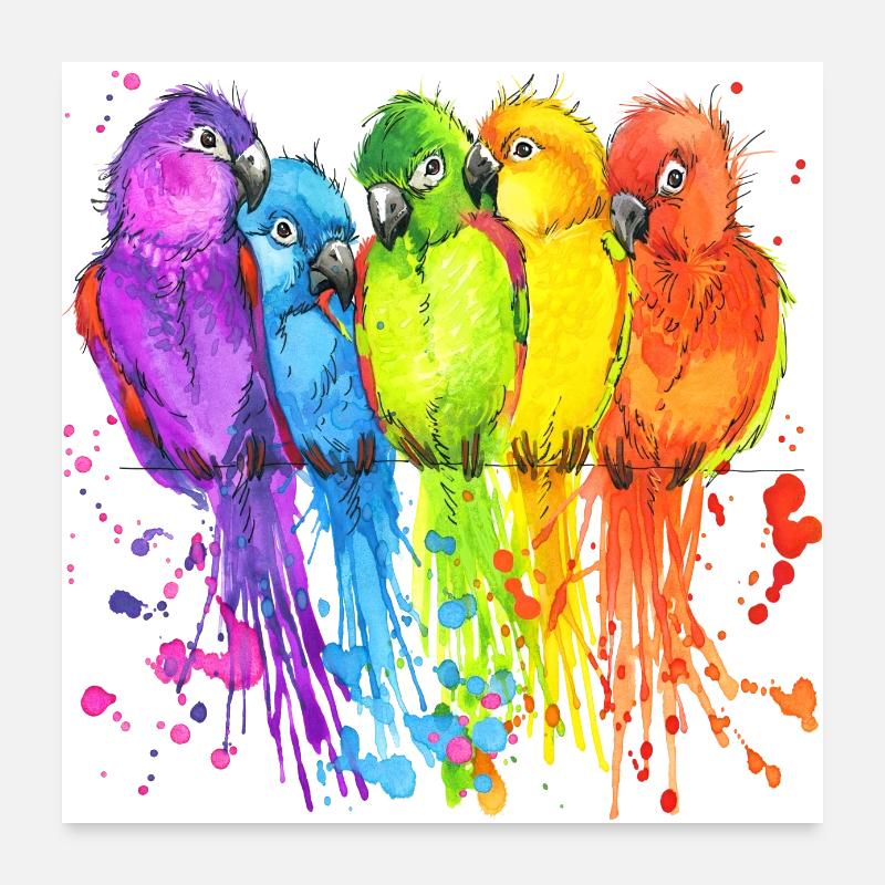 Perroquet oiseaux perroquet Poster 60 x 60 cm