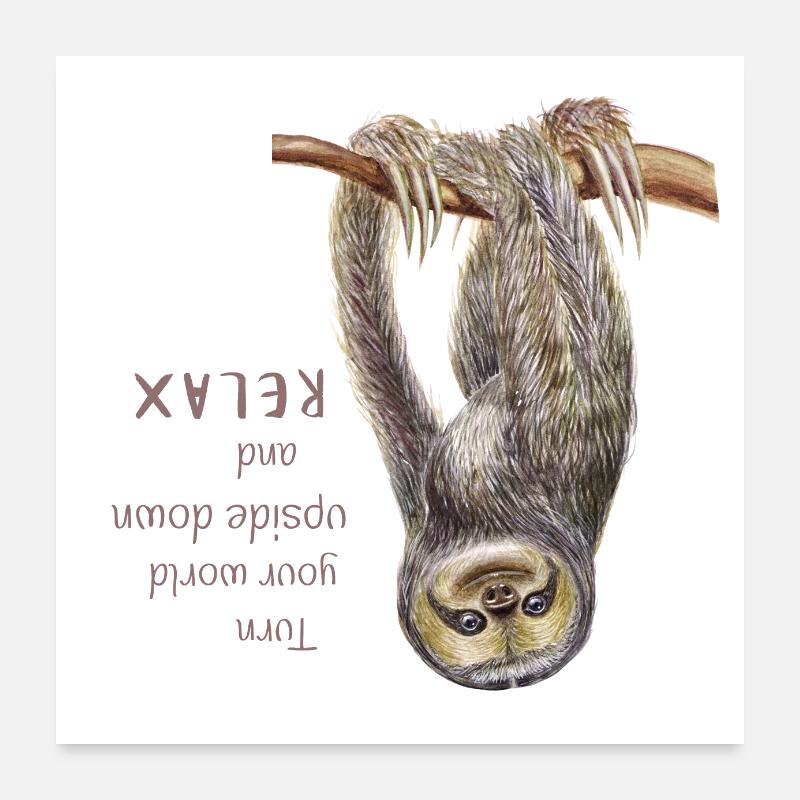 Affiche Sloth Sloth Relax - Poster 60 x 60 cm - blanc