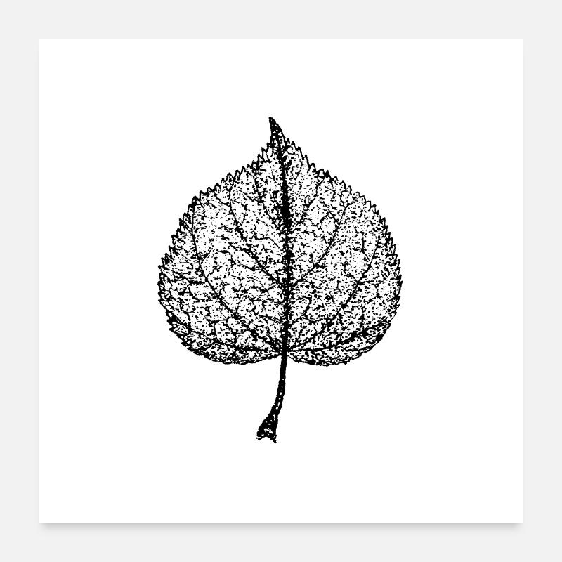 Lindenblatt Poster 60 x 60 cm