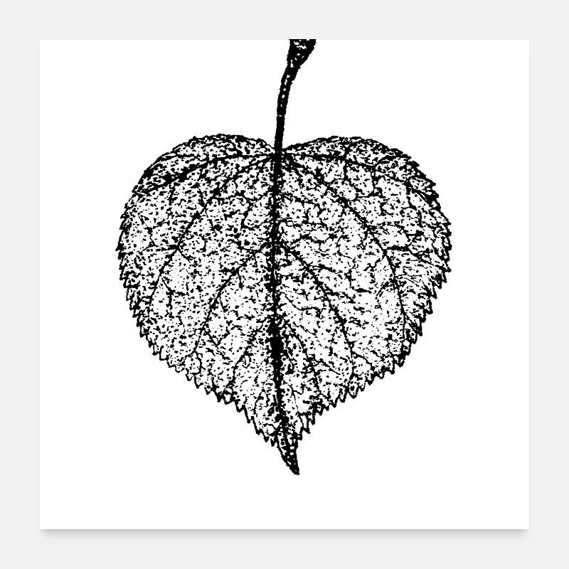 Lindenblatt Poster 60x60 cm