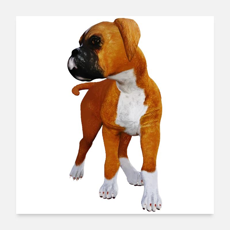 Chien chiot boxer Poster 60 x 60 cm