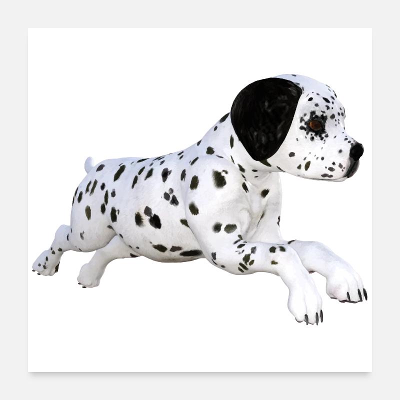 Chien chiot dalmatien Poster 60 x 60 cm