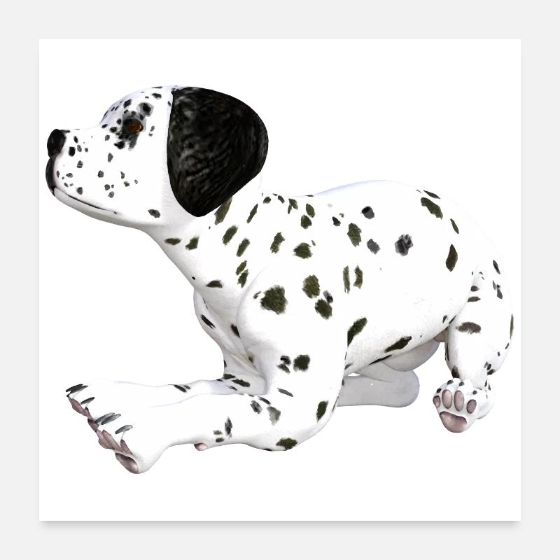 Chien chiot dalmatien Poster 60 x 60 cm