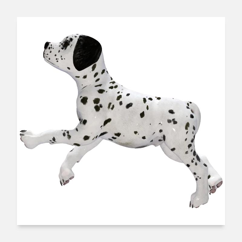 Chien chiot dalmatien Poster 60 x 60 cm