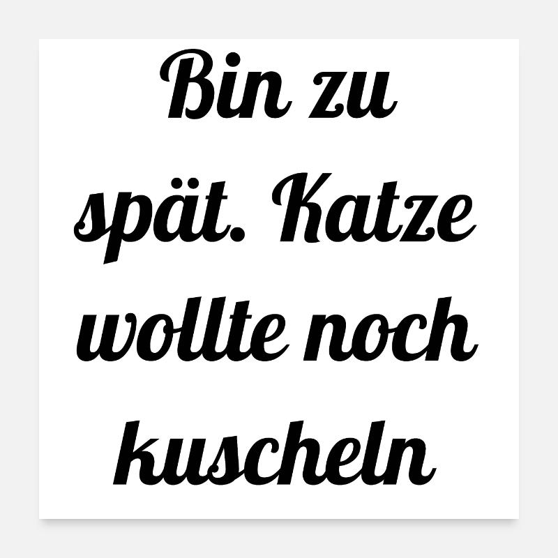 katze - Katze wollte kuscheln - Poster 60x60 cm - Weiß