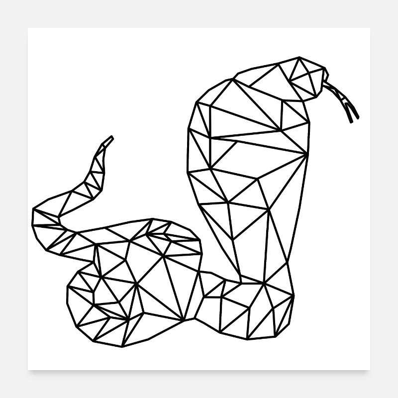 Snake Poster 24" x 24" (60x60 cm)
