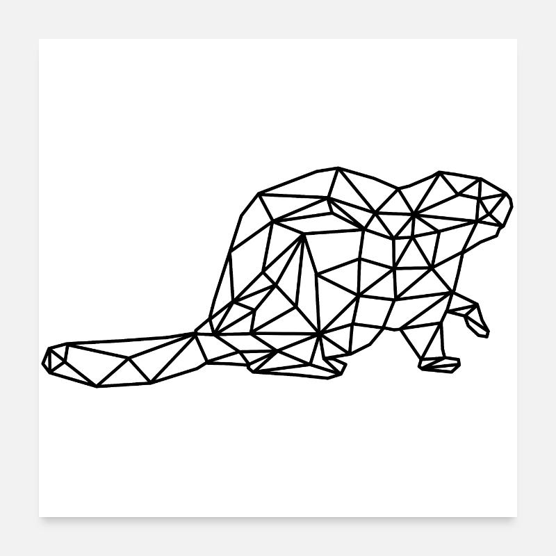 Biber Poster 60x60 cm