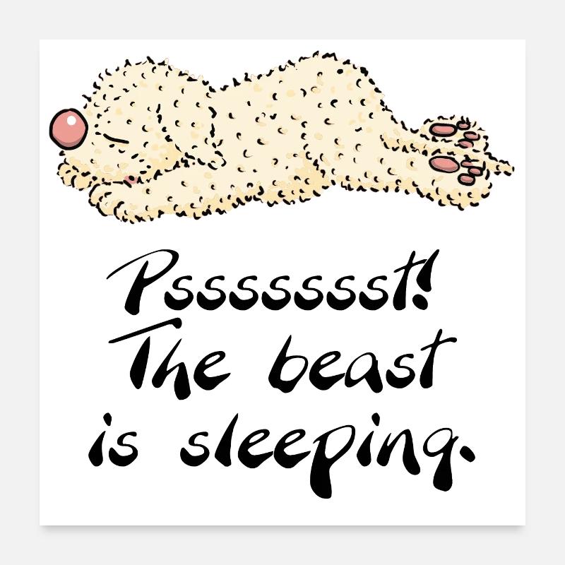 sleeppino1 3 - Poster 60x60 cm - Weiß