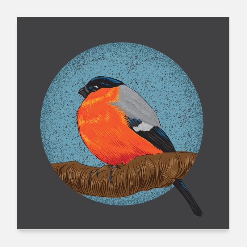 Affiche Bouvreuil Poster 60 x 60 cm