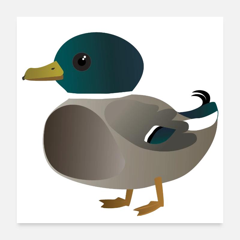 Mignon petit canard - Poster 60 x 60 cm - blanc