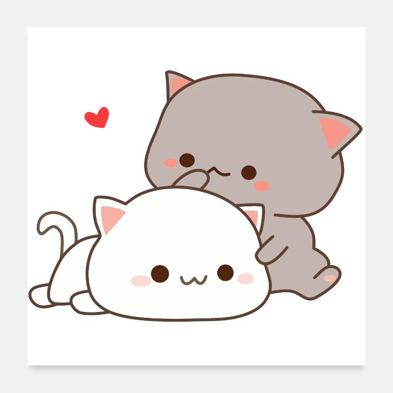 Chat mignon Poster 60 x 60 cm