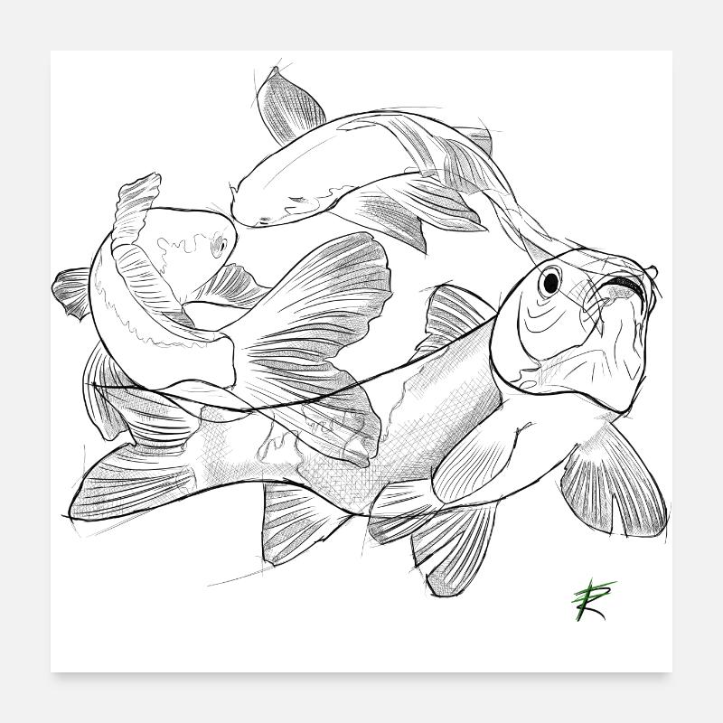 Carpe koï Poster 60 x 60 cm