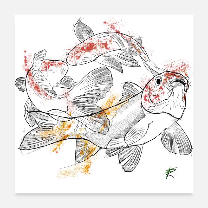 Farbe Koi Karpfen Poster 60x60 cm