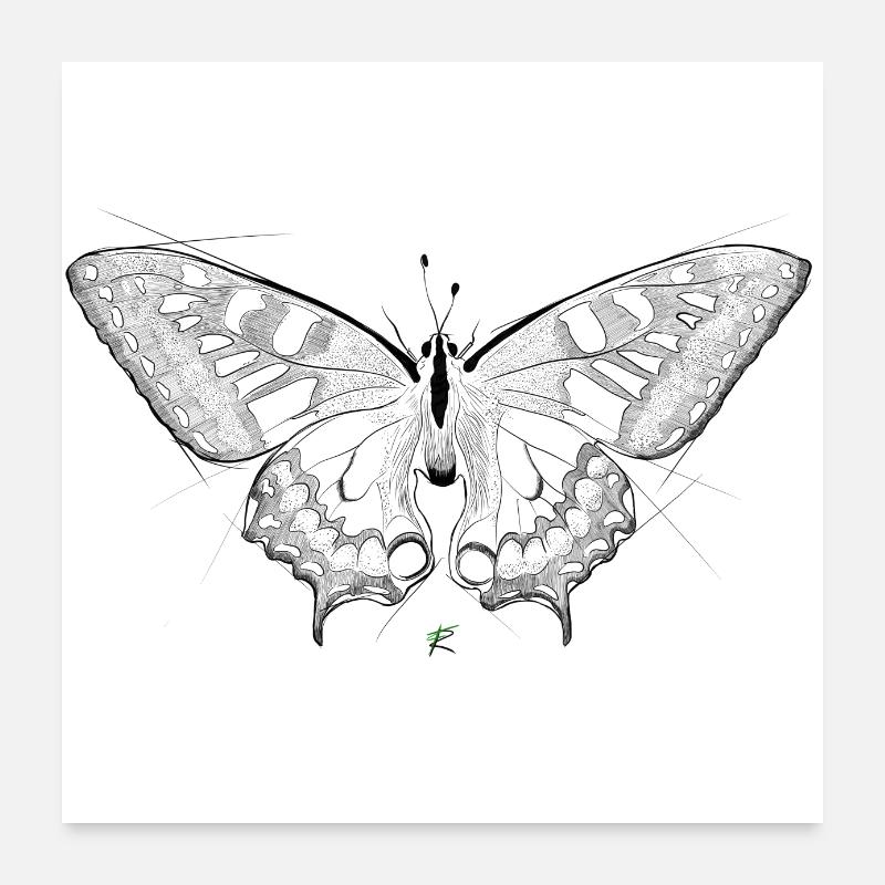 papillon Poster 60 x 60 cm