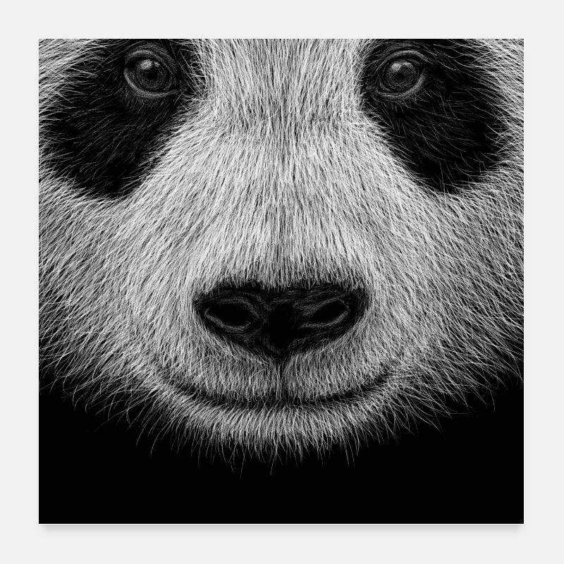 Cool panda illustration. Casual panda bear art Poster 60 x 60 cm