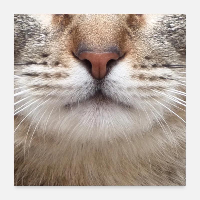 Masque de bouche de chat Poster 60 x 60 cm
