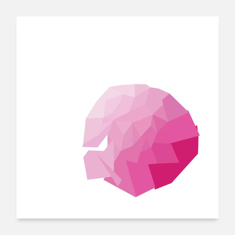 Rose - Poster 60 x 60 cm - blanc