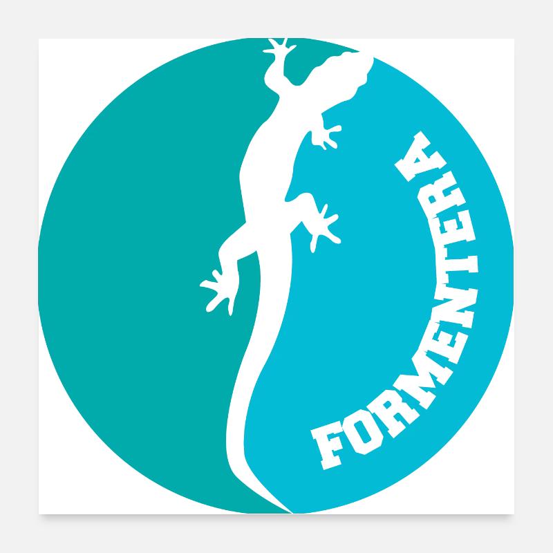 Formentera Eidechse - Poster 60x60 cm - Weiß