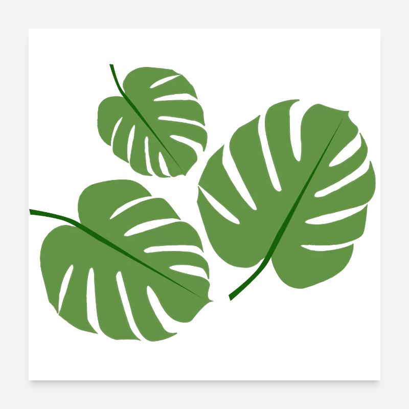 Usine de Monstera Poster 60 x 60 cm