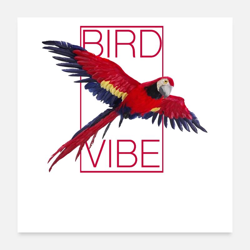 Perroquet rouge - OISEAU VIBE Poster 60 x 60 cm