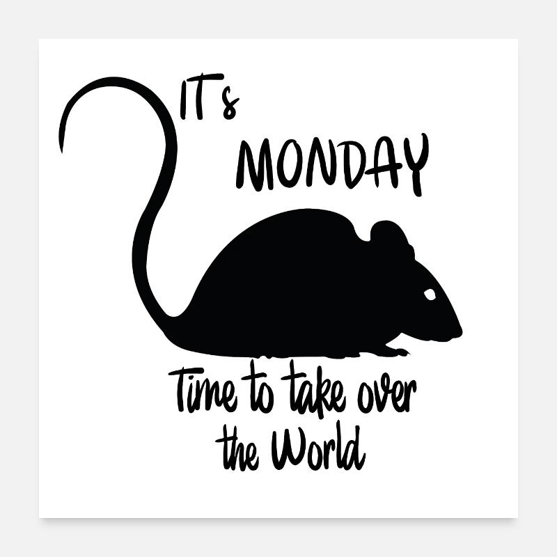 Souris - Poster 60 x 60 cm - blanc