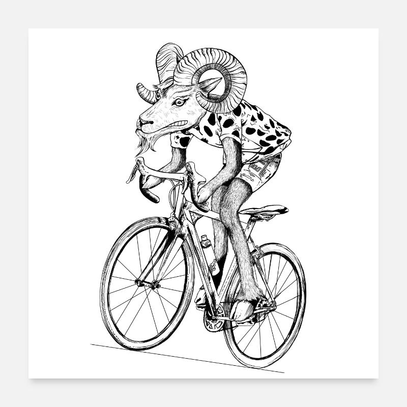mouflon avec vélo - Poster 60 x 60 cm - blanc