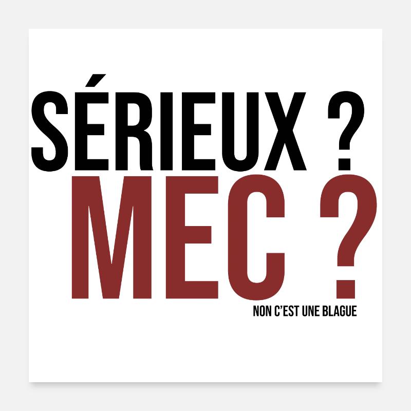 sérieux mec ? non c'est une blague Poster 60 x 60 cm