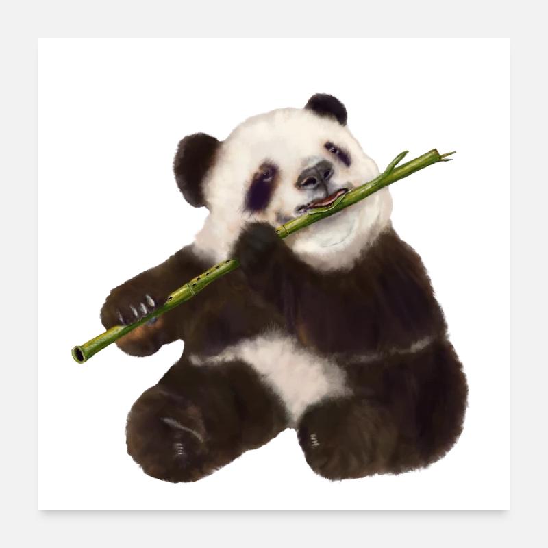 Paddy Panda - Poster 60x60 cm - Weiß