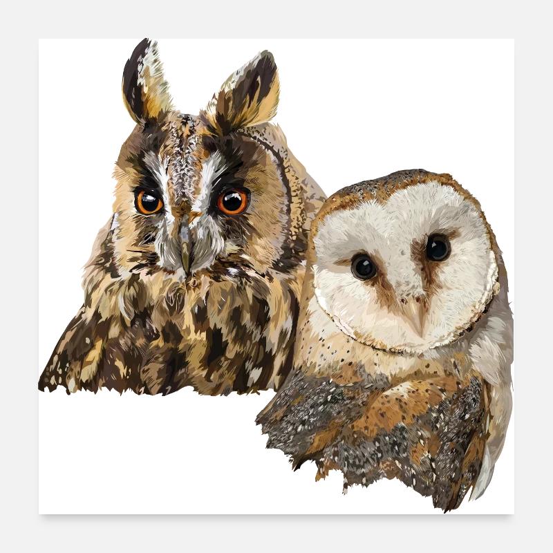 Eule und Eule - Poster 60x60 cm - Weiß