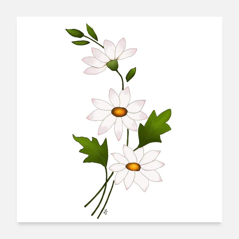 Daisy Flowers Poster 24" x 24" (60x60 cm)