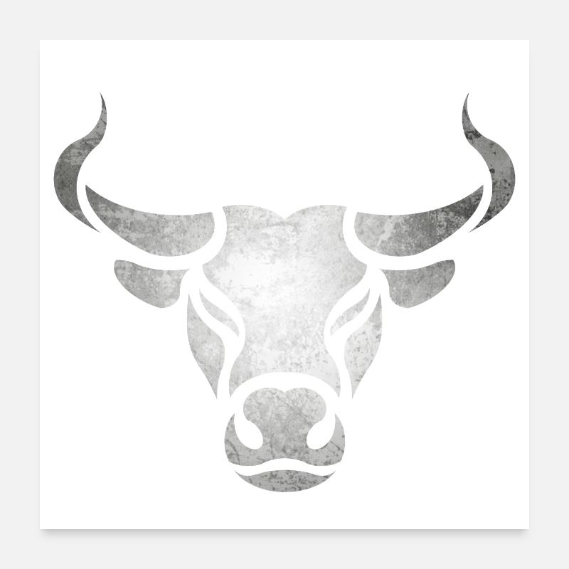 Stier Bulle Poster 60x60 cm