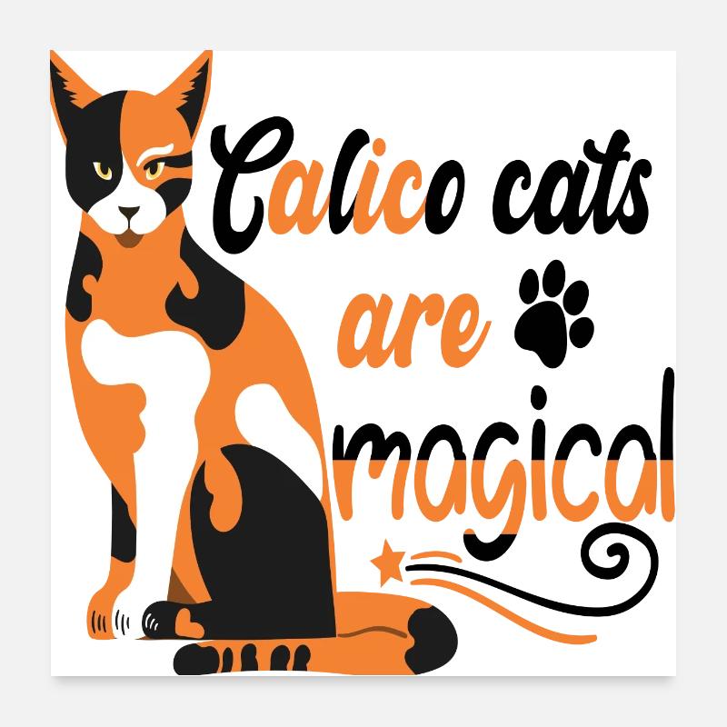 CALICO CATS SIND MAGISCH Poster 60x60 cm